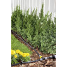 T–Соединитель KARCHER с регулятором 2.645-231